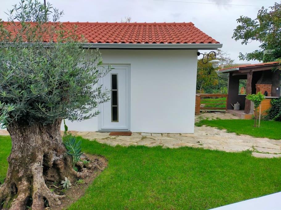 Casinha Do Rio Villa Soure ภายนอก รูปภาพ
