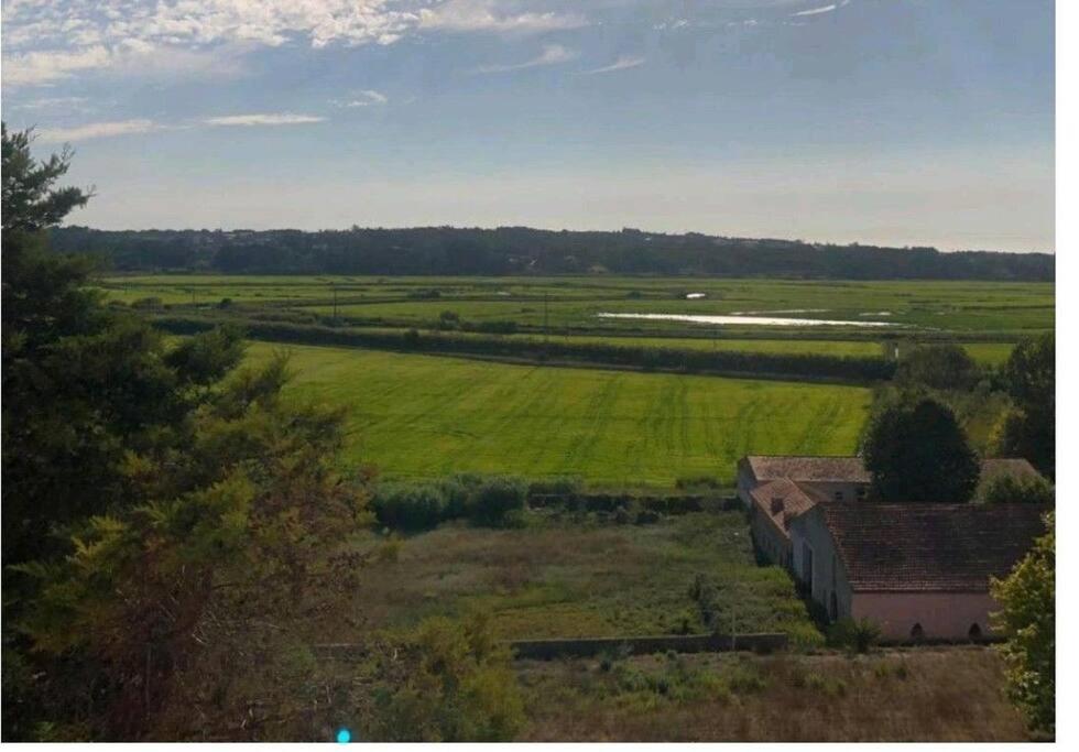 Casinha Do Rio Villa Soure ภายนอก รูปภาพ